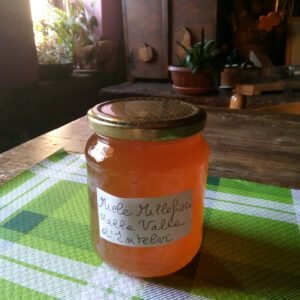 Miele di Montagna – Da Apicoltura Nomade (0.5 Kg)